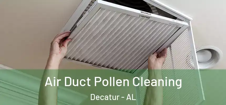  Air Duct Pollen Cleaning Decatur - AL