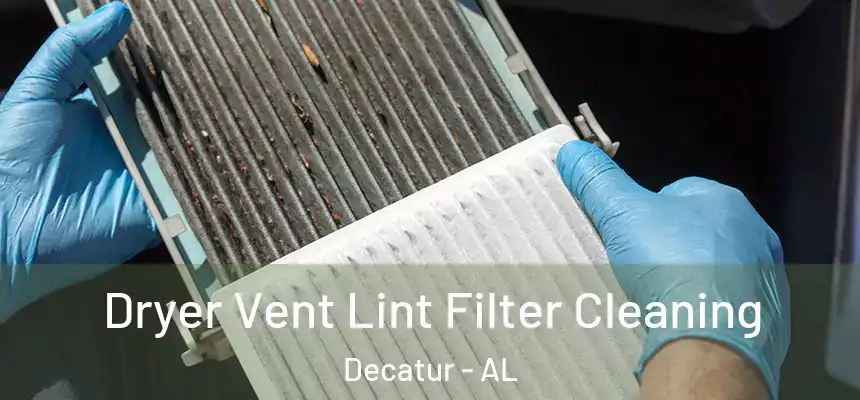  Dryer Vent Lint Filter Cleaning Decatur - AL