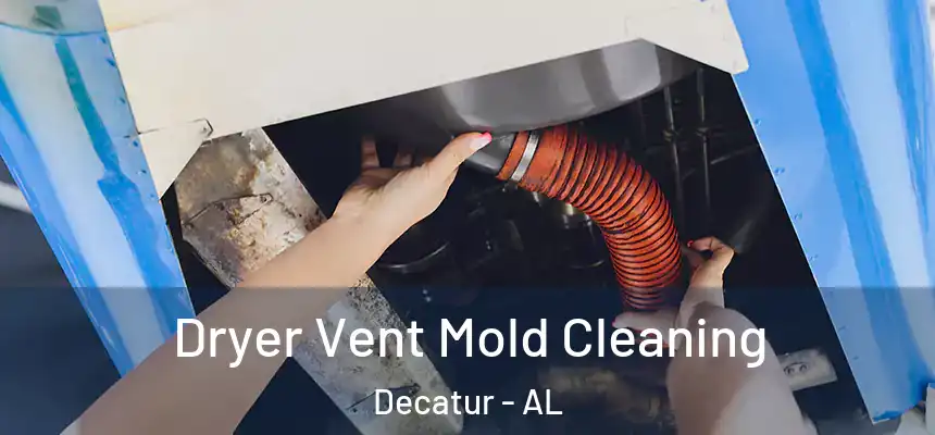  Dryer Vent Mold Cleaning Decatur - AL