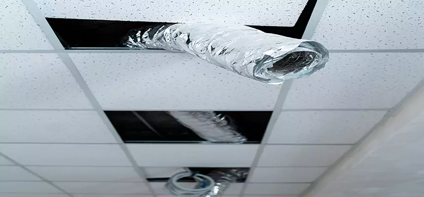 Affordable HVAC Sanitizing After Pest Removal in Decatur