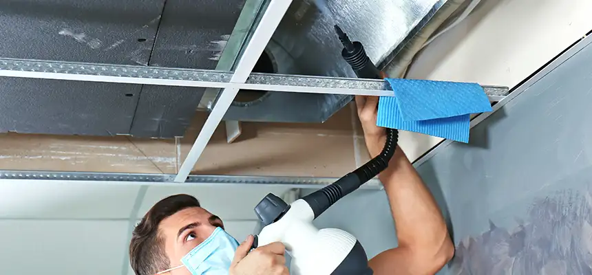 Our Air Duct Rodent Removal Services in Decatur, AL