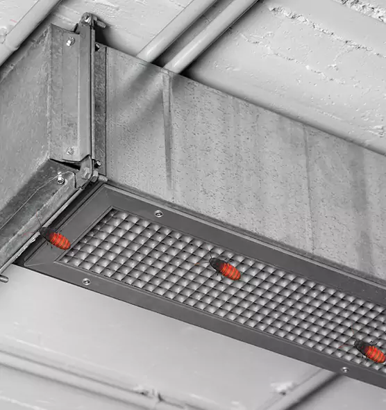 About Air Duct Cockroach Removal in Decatur, AL