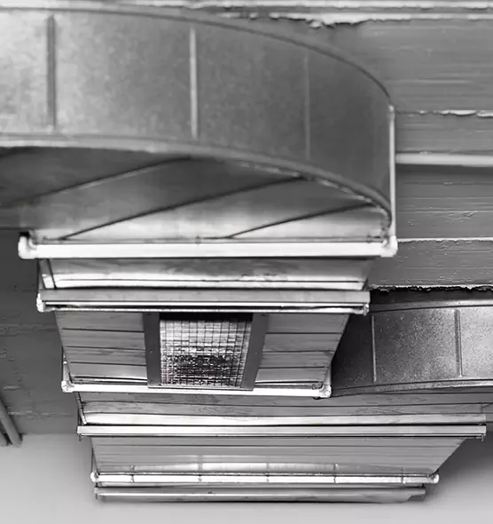 Professional Air Duct Pest Removal in Decatur, AL