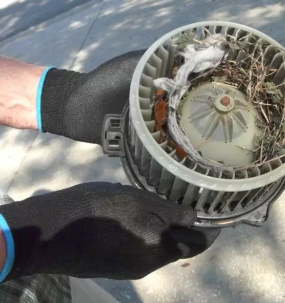 About Air Duct Rat Removal in Decatur, AL