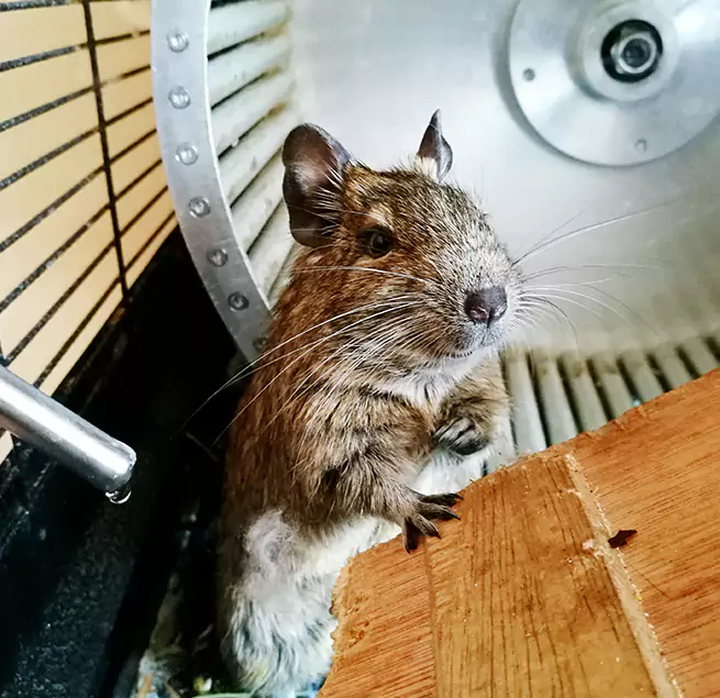 Why Homeowners & Businesses Trust Us Decatur, AL?